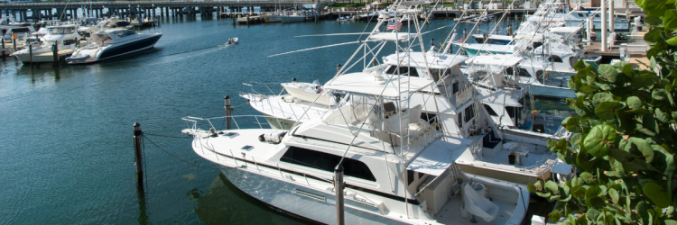 shoreline yacht group redondo